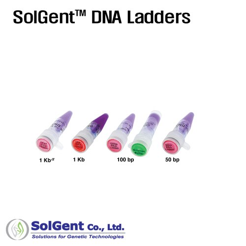 1Kb+ DNA Ladder